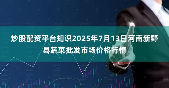 炒股配资平台知识2025年7月13日河南新野县蔬菜批发市场价格行情