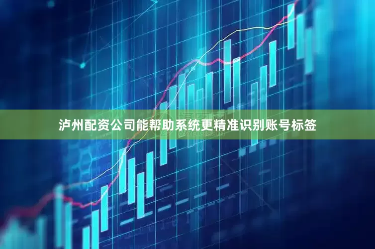 泸州配资公司能帮助系统更精准识别账号标签