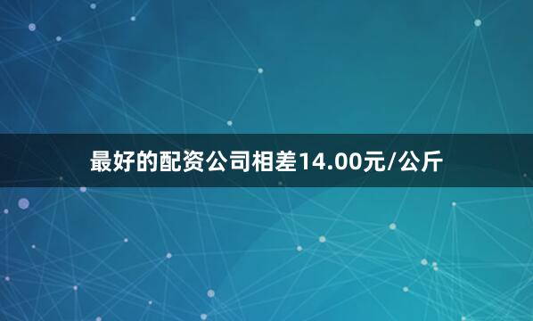 最好的配资公司相差14.00元/公斤