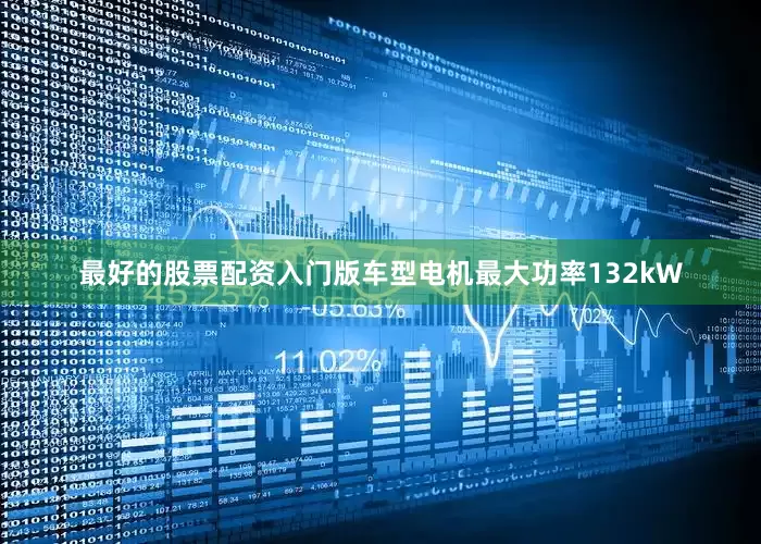 最好的股票配资入门版车型电机最大功率132kW