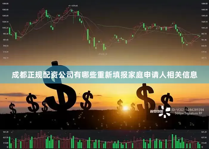 成都正规配资公司有哪些重新填报家庭申请人相关信息