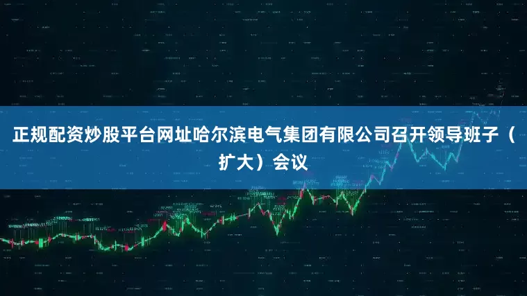 正规配资炒股平台网址哈尔滨电气集团有限公司召开领导班子（扩大）会议