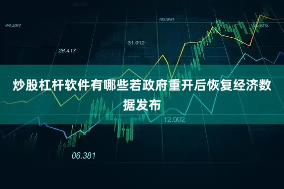 炒股杠杆软件有哪些若政府重开后恢复经济数据发布